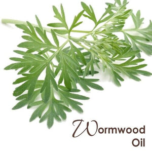Wormwood Oil Body Massage